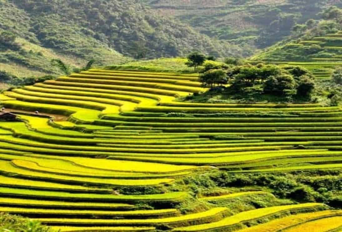 Hanoi to Sapa Cycling Tour: The Ultimate Guide to Pedaling Through the Soul of Northern Vietnam